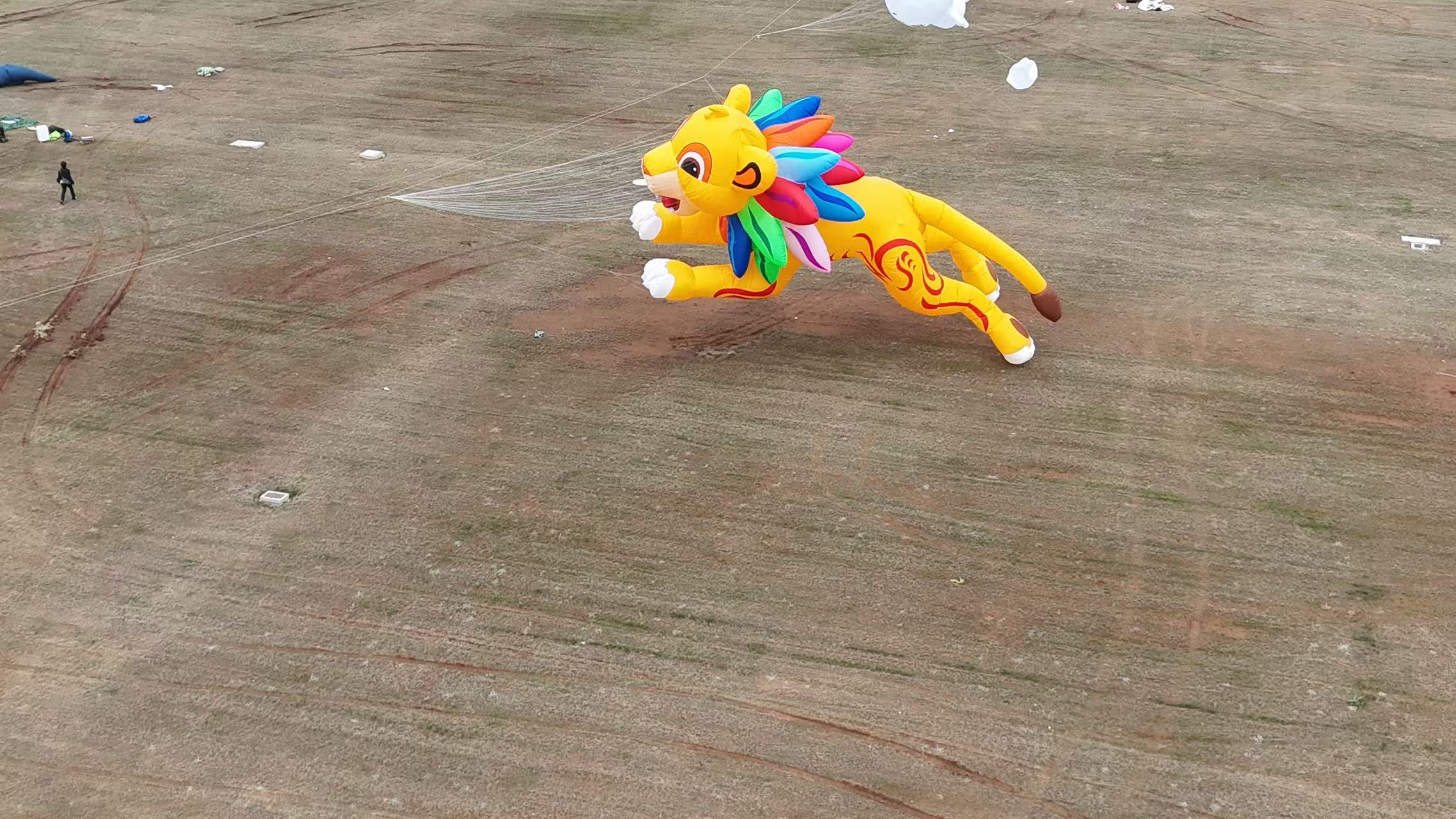 焦作市品牌风筝定制儿童风筝定制 - 厂家