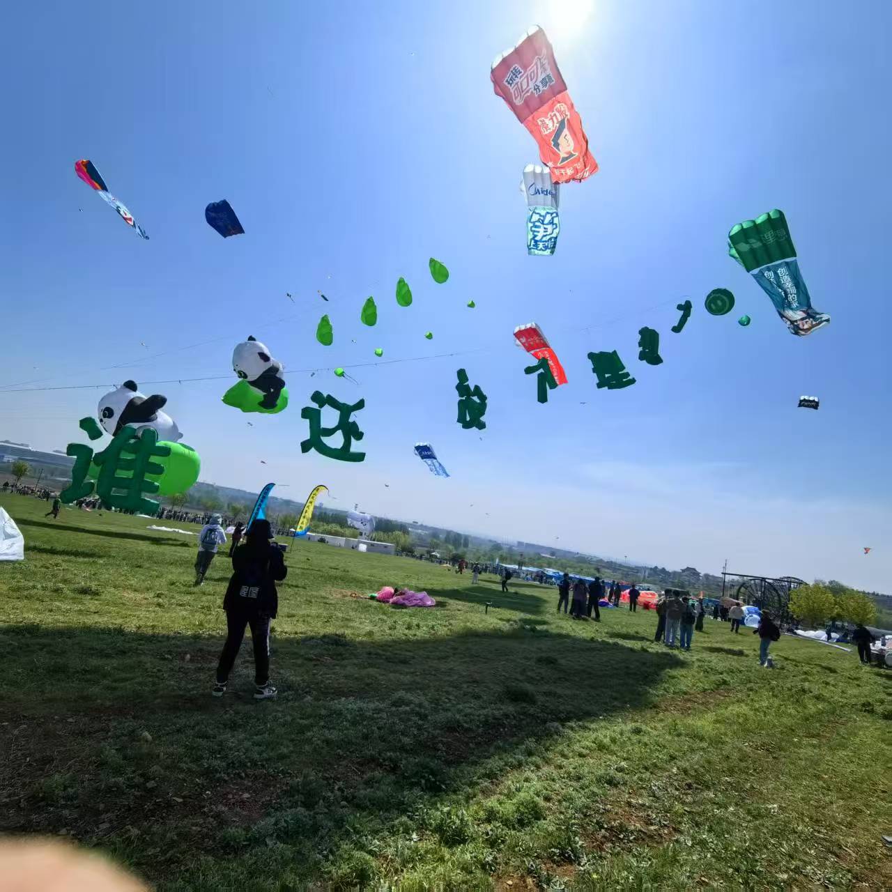 焦作市风筝批发风筝定制 - 一站式服务